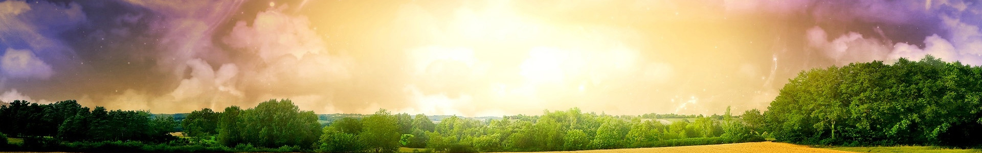 乐鱼体育可信吗